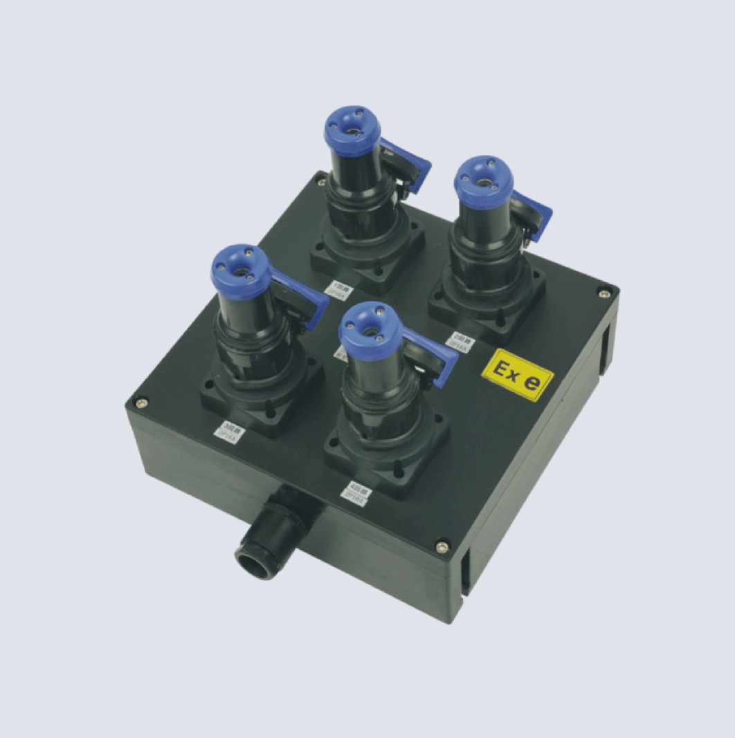 BXX8050-系列防爆防腐檢修電源插座箱(IIC、 ExtD)